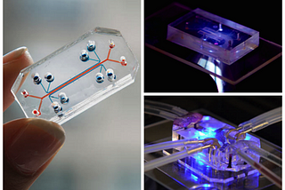 Organs-on-Chips: A revolution in drug testing?