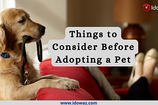 Things to Consider Before Adopting a Pet