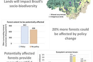 Amazonian Deforestation Set to Increase Under Brazil’s Permissive New Mining Laws