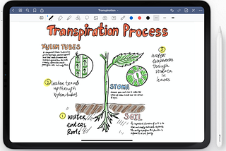 My 6 Best Note-taking Apps for iPad Pro and Apple Pencil