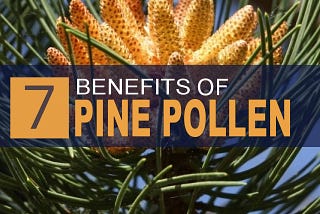 7 Amazing Benefits of Pine Pollen