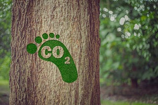 Carbon footprint: what is it and why should we be concerned?
