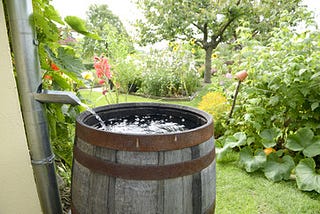 How Rain Barrels Effectively Store and Conserve Water