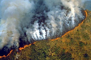 Unique Amazon rainforests and Siberia: why are we all suffering from fires?
