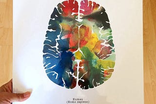 Dehanın Nörobilimi : Plastik Beyin ve Sıradan- Sıradışı Yaratıcılık Üzerine #3