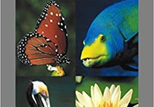 READ/DOWNLOAD%! National Audubon Society Field Guide to Florida FULL BOOK PDF & FULL AUDIOBOOK