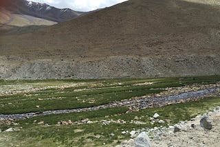 Revisiting Ladakh through a writing exercise
