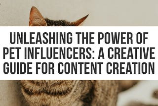 Pet Influencer Content Creation: Make a Lasting Impact