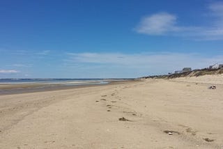 From my morning walk my first day. Kingsbury Beach, Eastham, MA