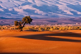 Sahara desert excursions in Morocco