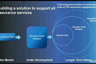 Will the Dynamic Audit Solution work?