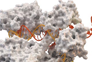 The Future of Anti-CRISPR