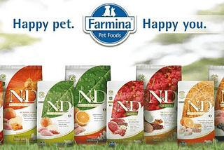 Farmina Cat Food: A Premium Choice for Your Persian Cat — Matisse Kitten