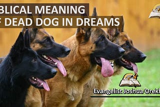 Spiritual Meaning of Dead Dogs in Dreams: Unveiling Mysteries