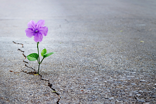 The Most Harmful Patterns Don’t Start With Red Flags