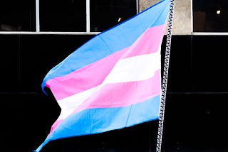 Trans visibility: who is it good for?