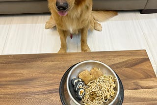 Lessons for Hoomans