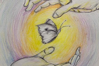Image of two open hands facing each other, one above the other with a white cabbage butterfly floating in between.