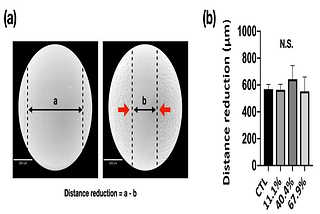 Effect of Spacer on the Fabrication and Properties of TiZr-Based BMG Foams for Bio-Implant…