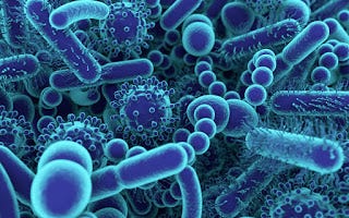 Classification of Bacteria / Microbiology