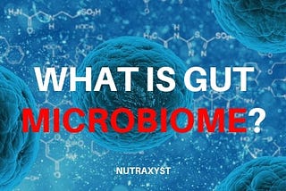 What Is Gut Microbiome? What Should I Know About It?