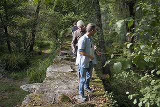 Nature Connection & Regenerative Culture: Researching the Intersection Through Art Practice