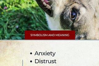 Spiritual Meaning of Dog Attacking You in a Dream: Unveil Mysteries!
