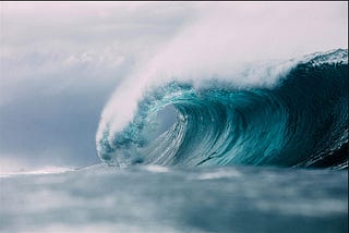 It Was Tuesday. We Voted. And Got It Right This Time