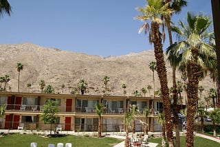 Desert resort with palm trees