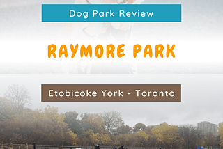 Raymore Dog Park - Toronto Dog Park Review - Pinterest Pin