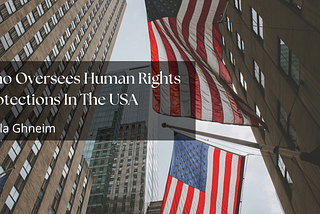 Who Oversees Human Rights Protections In The USA | Diala Ghneim | Professional Overview