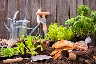 Must Have 7 Kinds of Gardening Tools!