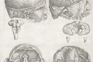 AI Improves with Cognitive Science Pt 2