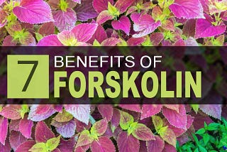 7 Good Reasons to Try Forskolin