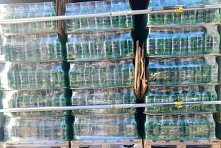 Около 100 тысяч бутылок немаркированной минеральной воды из Армении выявили североосетинские…