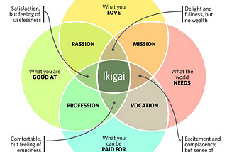 Chasing Ikigai — Lessons learned and plans for the year