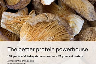 Do Mushrooms Have Protein? 4 Findings and Other Nutrition Facts