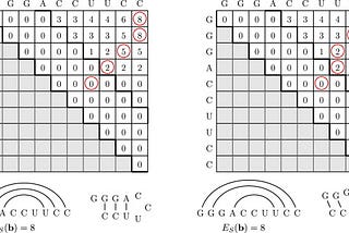 Optimal Secondary RNA Alignment and Nussinov’s Algorithm