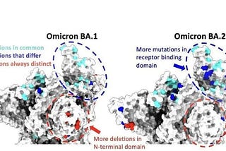 micron Variant Mask Offers the Best Protection In the Omicro