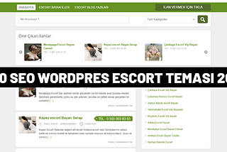 Wordpress Escort Teması — Web Yazılım Hizmetleri