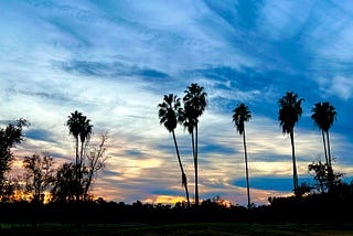 Thoughts on LA