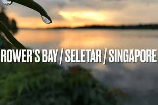 Recommended place to visit in Singapore: Rower’s Bay, Seletar — Stunning place to see stunning…