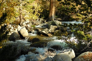 Stream Crossing