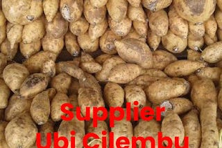 Pesan 0822–8977–1892,Jual Ubi Cilembu Bakar di Medan,Sunggal,Marelan,Deli…