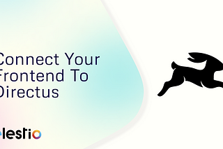 Connect Your Frontend To Directus