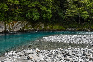 Clear water stream, rocky bank and bush background.