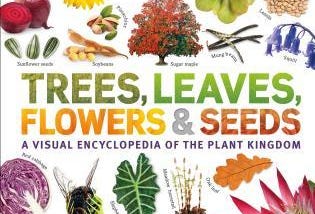 [Book/PDF] Trees, Leaves, Flowers and Seeds: A Visual Encyclopedia of the Plant Kingdom BY - D.K.