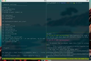 How to set up an amazing terminal for data science with oh-my-zsh-plugins