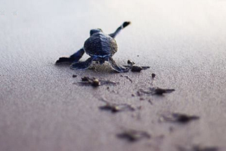 Take the Second Chance